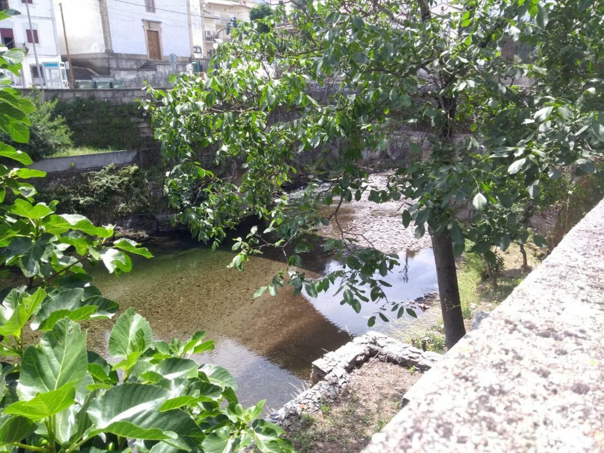 Casa D.Dinis Villa Vide Buitenkant foto